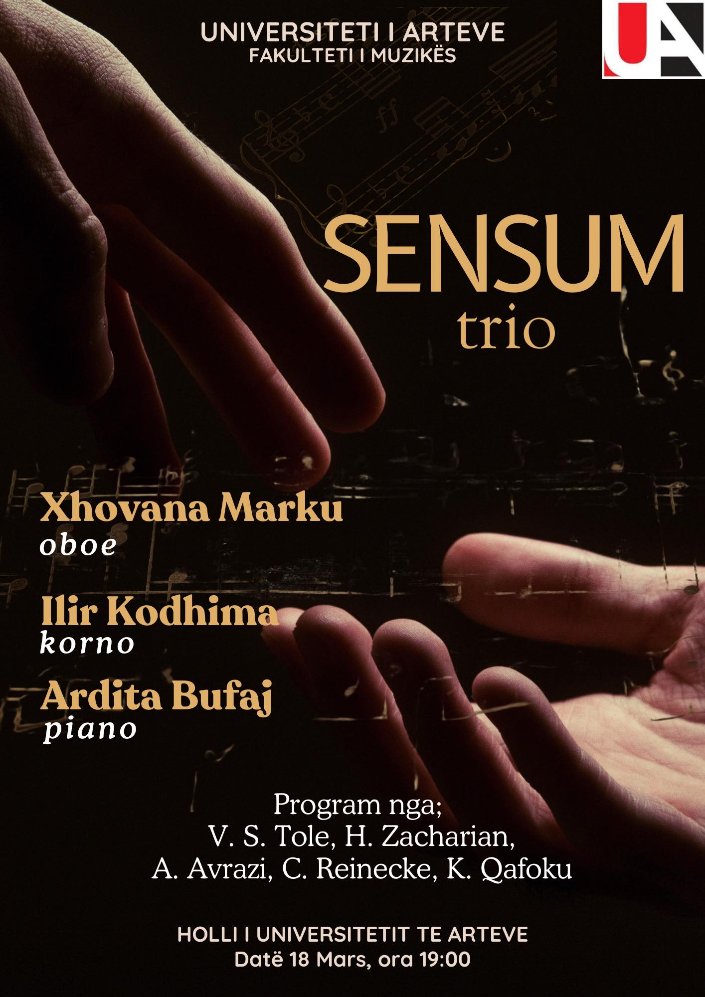 “SENSUM TRIO”, Formacioni i rrallë artistik që depërton muzikalisht drejtë…